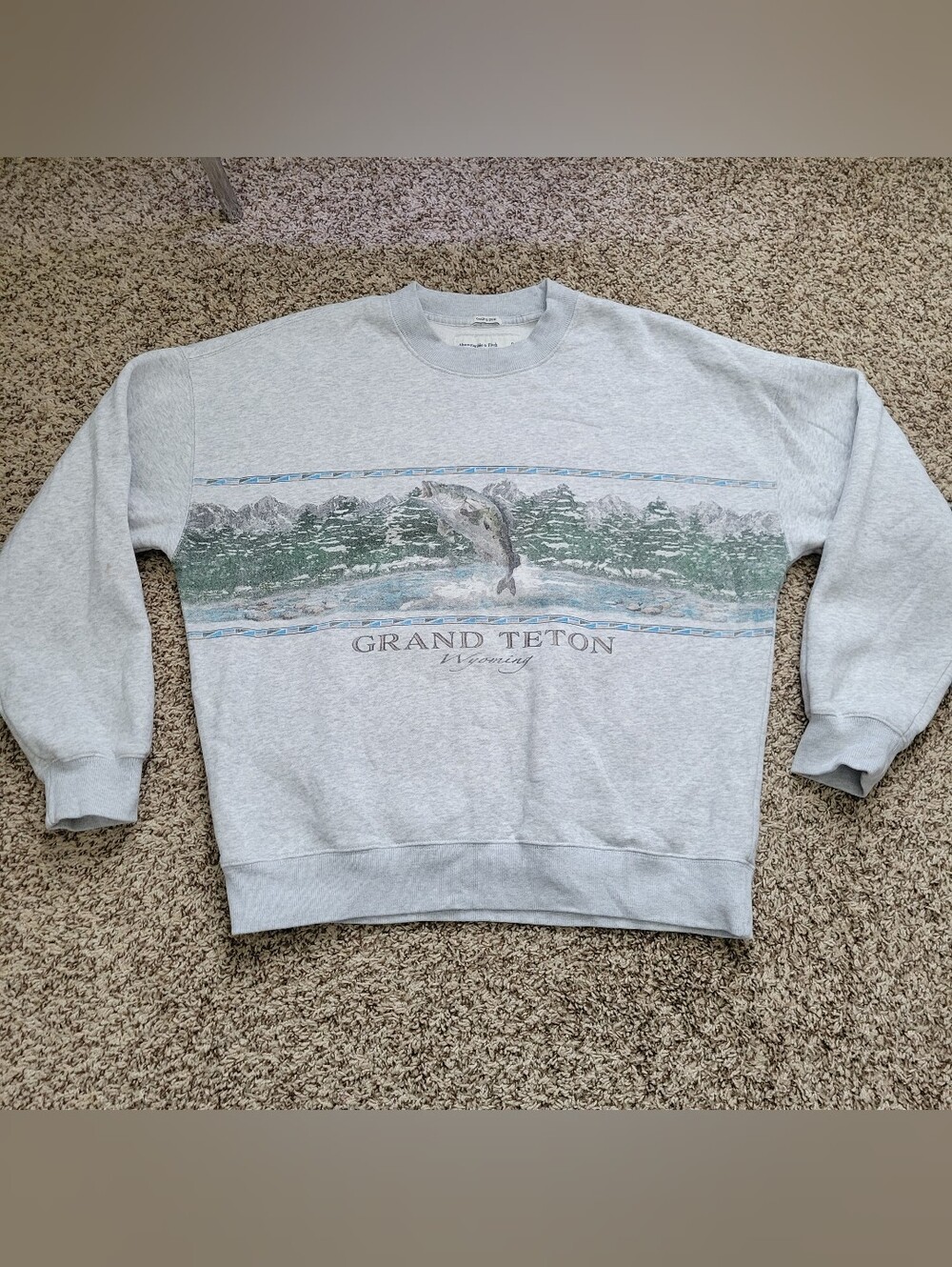 Abercrombie & Fitch Sweatshirt Grand Teton Wyoming Gray Fish Oversized Small